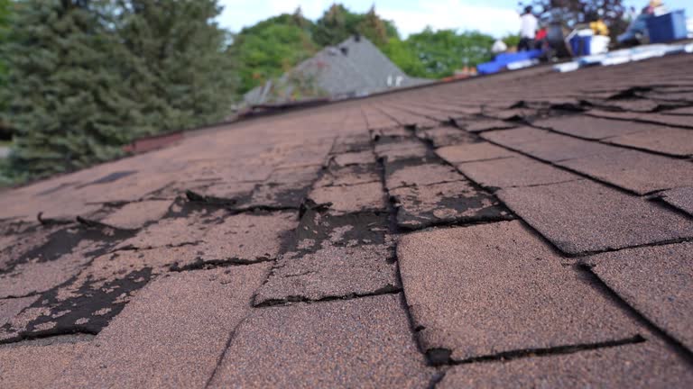 Roof Insulation in Montrose, NY