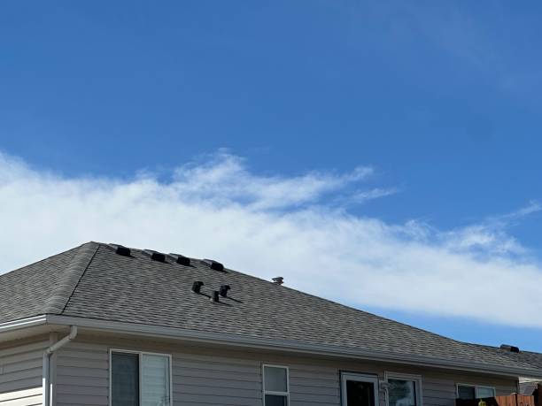 Best Metal Roofing Installation  in Montrose, NY